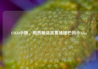 CSGO小顾，用热爱浇筑赛场锋芒的小Niko