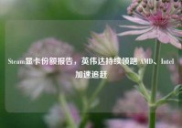 Steam显卡份额报告，英伟达持续领跑 AMD、Intel加速追赶