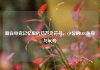 藏在电竞记忆里的葫芦岛符号，小智的LOL账号与QQ号