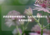 逆战宏数据库编辑指南，从入门到实战操作及免费网站详解