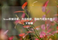 Steam收据详解，内容构成、获取方式及作用一文看懂