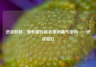 逆战时刻，那些藏在脸色里的勇气密码——逆战脸红