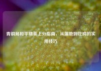 青铜局和平精英上分指南，从落地到吃鸡的实用技巧