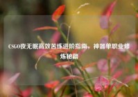 CSGO夜无眠高效苦练进阶指南，神器单职业修炼秘籍