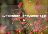1992欧洲杯丹麦童话，藏在时光褶皱里的温暖星光