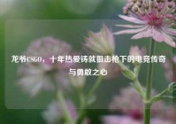龙爷CSGO，十年热爱铸就狙击枪下的电竞传奇与勇敢之心
