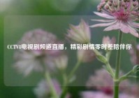CCTV8电视剧频道直播，精彩剧情零时差陪伴你