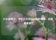 PUBG信誉分，守护公平竞技的隐形盾牌，在哪里查看？