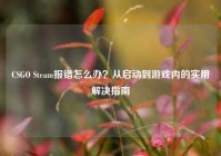CSGO Steam报错怎么办？从启动到游戏内的实用解决指南