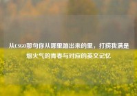 从CSGO那句你从哪里蹦出来的里，打捞我满是烟火气的青春与对应的英文记忆