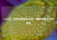 CSGO刀，学生玩家的心头好，理性热爱才不伤钱包