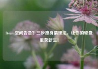 Steam空间告急？三步瘦身清理法，让你的硬盘重获新生！