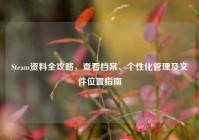 Steam资料全攻略，查看档案、个性化管理及文件位置指南