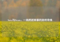 Saira与Steam，一场跨越屏幕的游戏奇缘