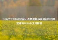 CSGO小北的BGM宇宙，点燃赛场与直播间的热血旋律及PUBG小北现用名