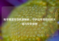 和平精英处罚机制解析，守护公平竞技的防火墙与安全规则