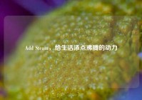 Add Steam，给生活添点沸腾的动力