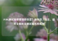 PUBG测试服藏着哪些惊喜？新内容、玩法、福利全解析及测试服名称揭秘