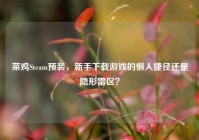 菜鸡Steam预装，新手下载游戏的懒人捷径还是隐形雷区？