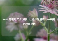 Steam跨境购买全攻略，从操作到避坑，一文搞定所有疑问