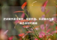 逆战鲲伤害全解析，技能机制、实战输出与最高伤害技巧揭秘
