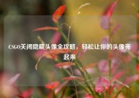 CSGO关闭隐藏头像全攻略，轻松让你的头像亮起来