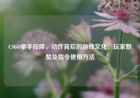 CSGO举手投降，动作背后的游戏文化、玩家默契及指令使用方法