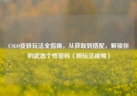 CSGO皮肤玩法全指南，从获取到搭配，解锁你的武器个性密码（附玩法视频）