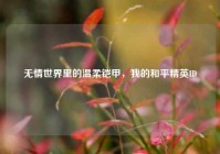 无情世界里的温柔铠甲，我的和平精英ID