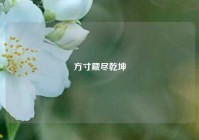 方寸藏尽乾坤
