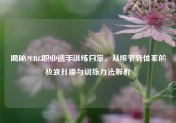 揭秘PUBG职业选手训练日常，从细节到体系的极致打磨与训练方法解析
