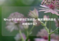 骂Steam千百遍却待它如初恋，啃屎游戏的真名到底叫什么？