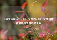29届北京奥运会，同一个世界，同一个梦想精神回响与主题口号大全