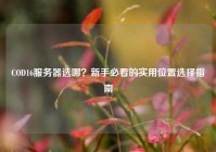 COD16服务器选哪？新手必看的实用位置选择指南