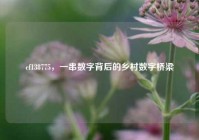 cf138775，一串数字背后的乡村数字桥梁