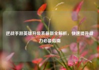 逆战手游英雄升级表最新全解析，快速提升战力必备指南