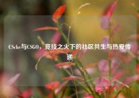 CSche与CSGO，竞技之火下的社区共生与热爱传递