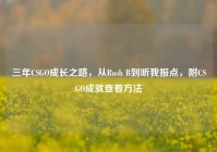 三年CSGO成长之路，从Rush B到听我报点，附CSGO成就查看方法