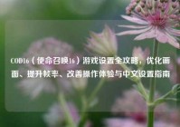 COD16（使命召唤16）游戏设置全攻略，优化画面、提升帧率、改善操作体验与中文设置指南