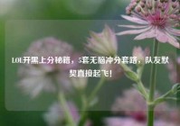 LOL开黑上分秘籍，5套无脑冲分套路，队友默契直接起飞！