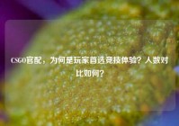 CSGO官配，为何是玩家首选竞技体验？人数对比如何？