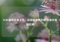 PUBG新音乐盒上线，战场旋律再升级 沉浸式体验拉满