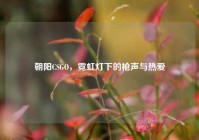 朝阳CSGO，霓虹灯下的枪声与热爱