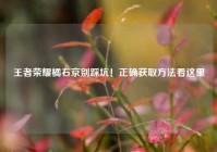 王者荣耀橘右京别踩坑！正确获取方法看这里