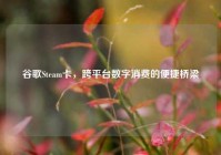 谷歌Steam卡，跨平台数字消费的便捷桥梁