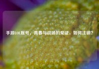 手游LOL账号，青春与战场的见证，如何注销？