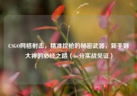CSGO网格射击，精准控枪的秘密武器，新手到大神的必经之路（6w分实战见证）