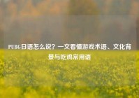 PUBG日语怎么说？一文看懂游戏术语、文化背景与吃鸡常用语