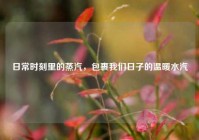 日常时刻里的蒸汽，包裹我们日子的温暖水汽