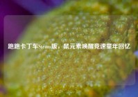 跑跑卡丁车Steam版，鼠元素唤醒竞速童年回忆
